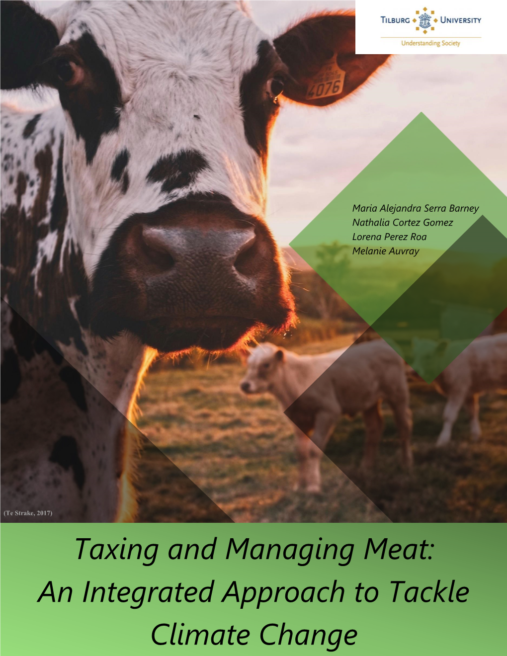 Taxing and Managing Meat