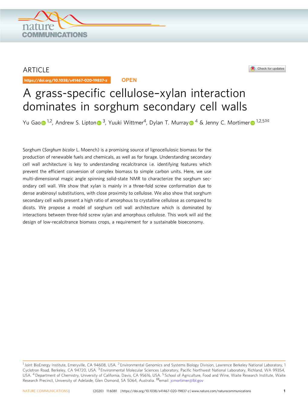 Xylan Interaction Dominates in Sorghum Secondary Cell Walls ✉ Yu Gao 1,2, Andrew S