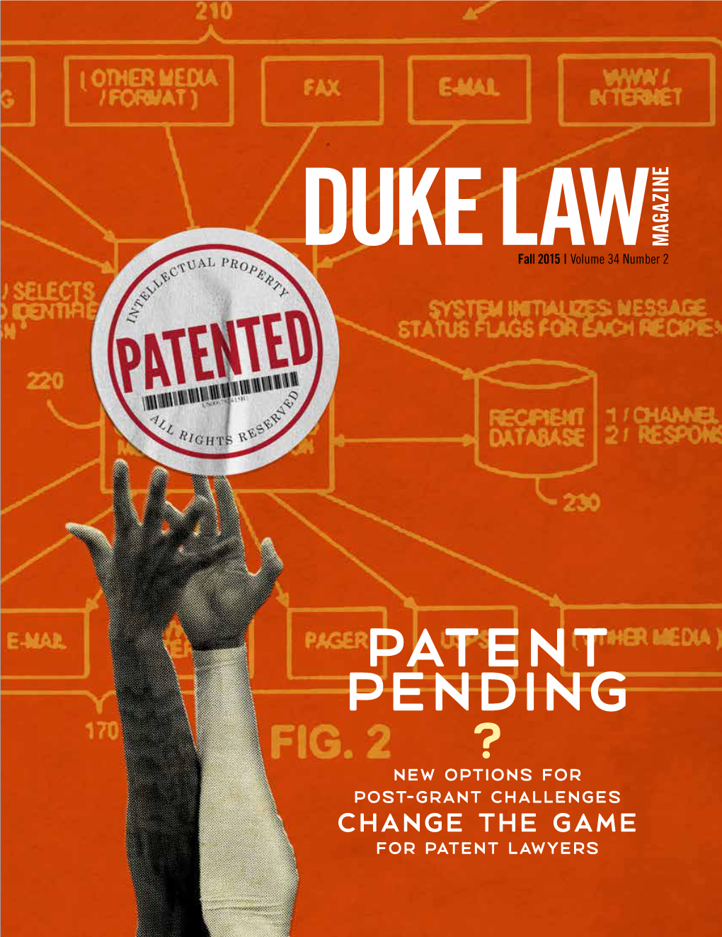 PATENT PENDING ? New Options for Post-Grant Challenges Change the Game for Patent Lawyers
