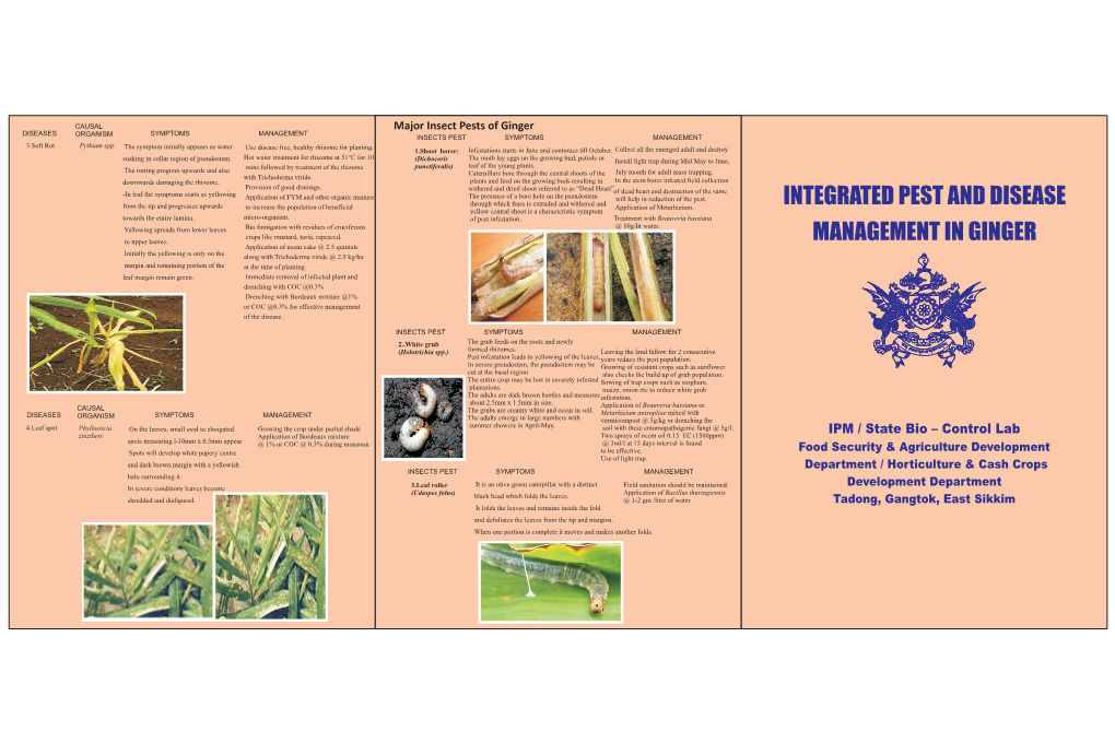 Integrated Pest and Disease Management in Ginger