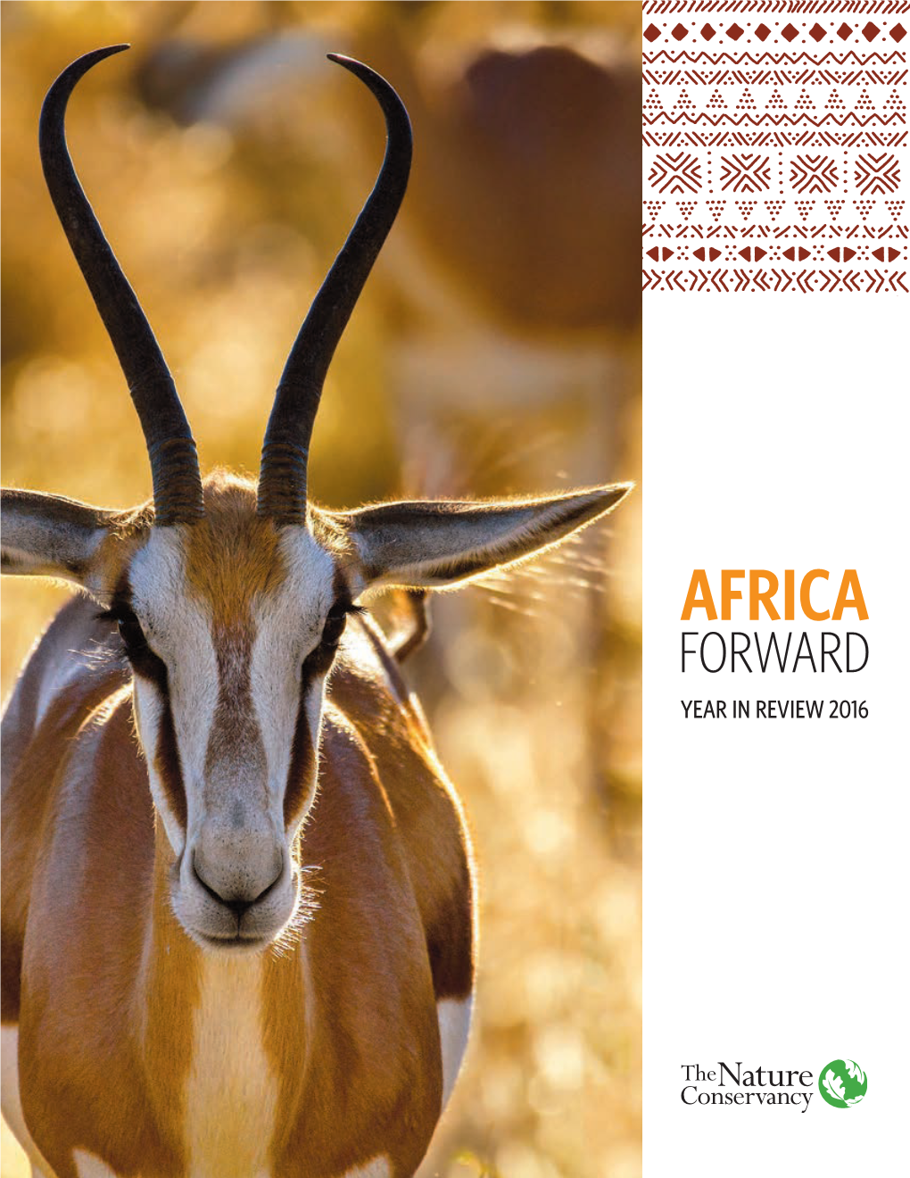 Africa Forward Year in Review 2016 from Science to Our Mission