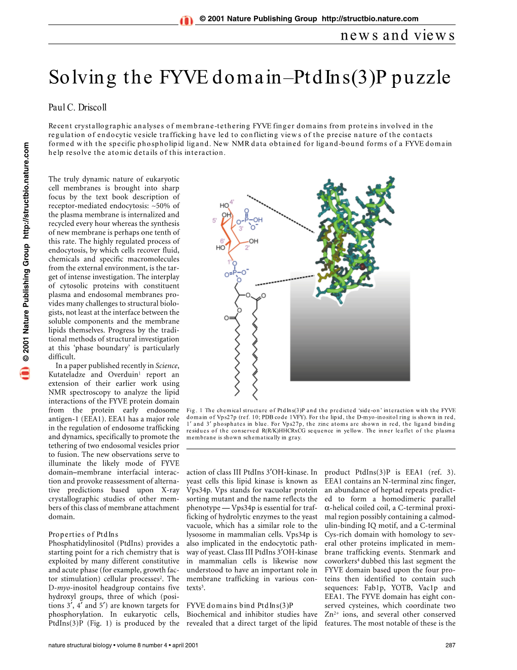 Solving the FYVE Domain–Ptdins(3)P Puzzle