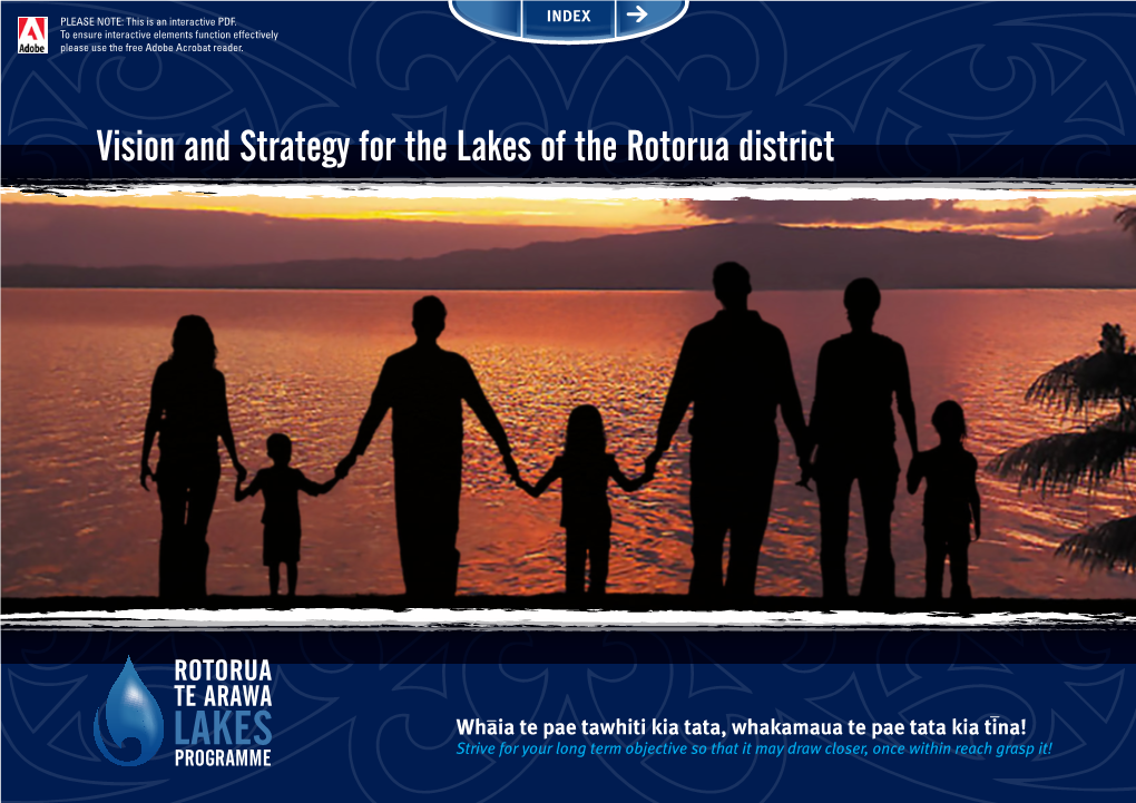 Vision and Strategy for the Lakes of the Rotorua District
