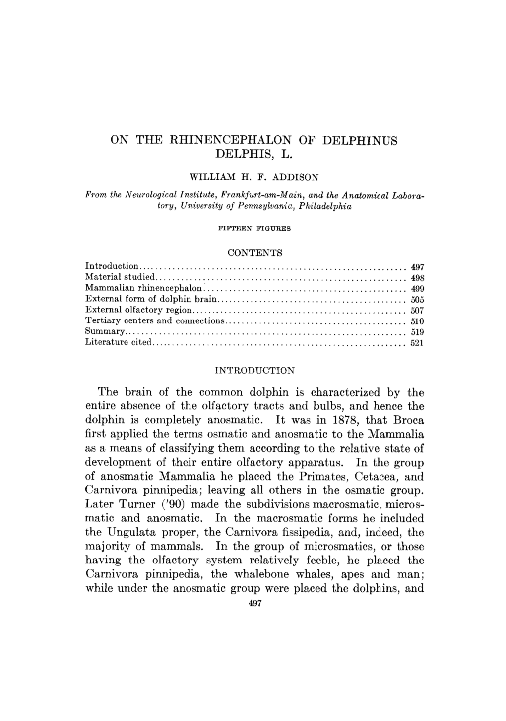 On the Rhinencephalon of Delphinus Delphis, L