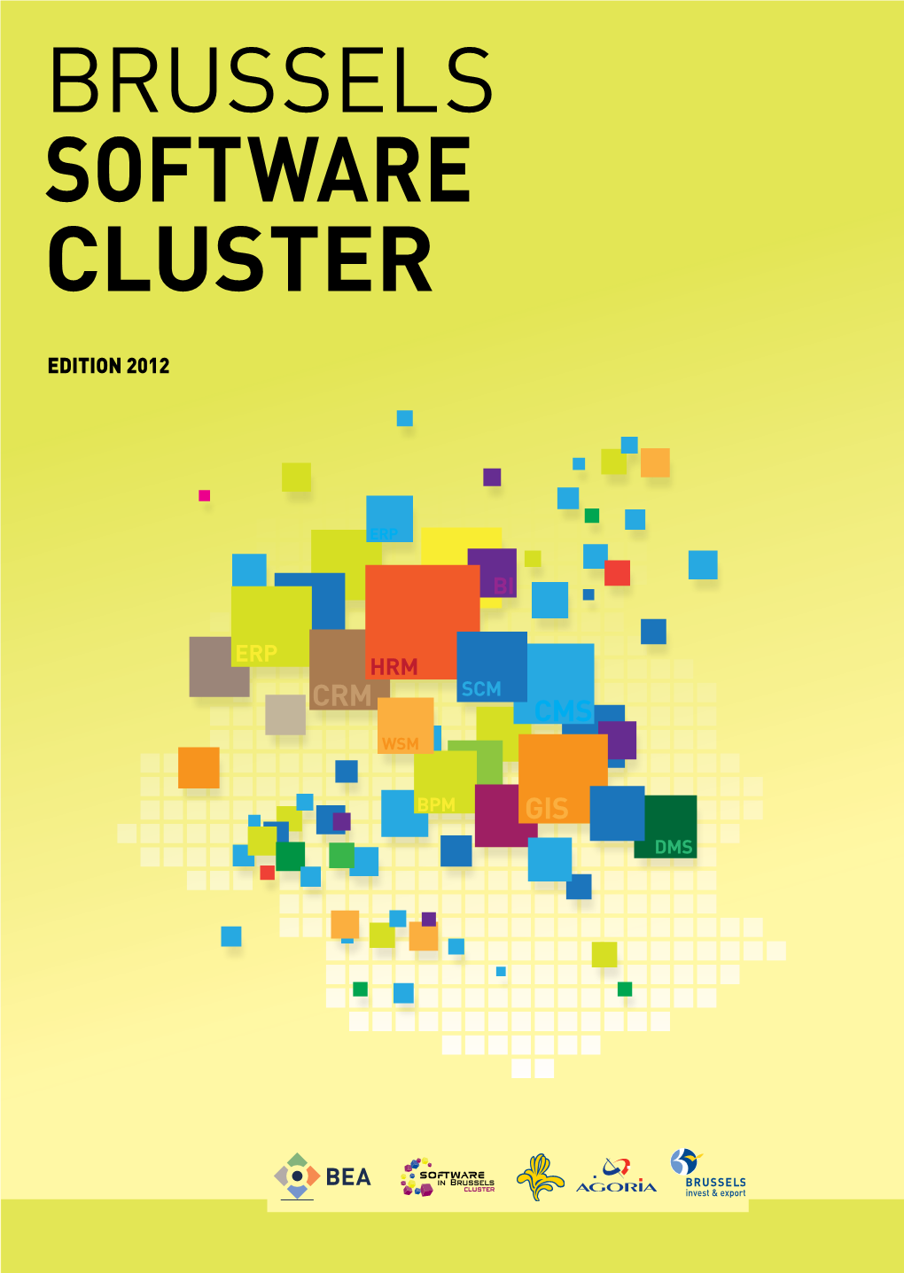 BRUSSELS Software Cluster