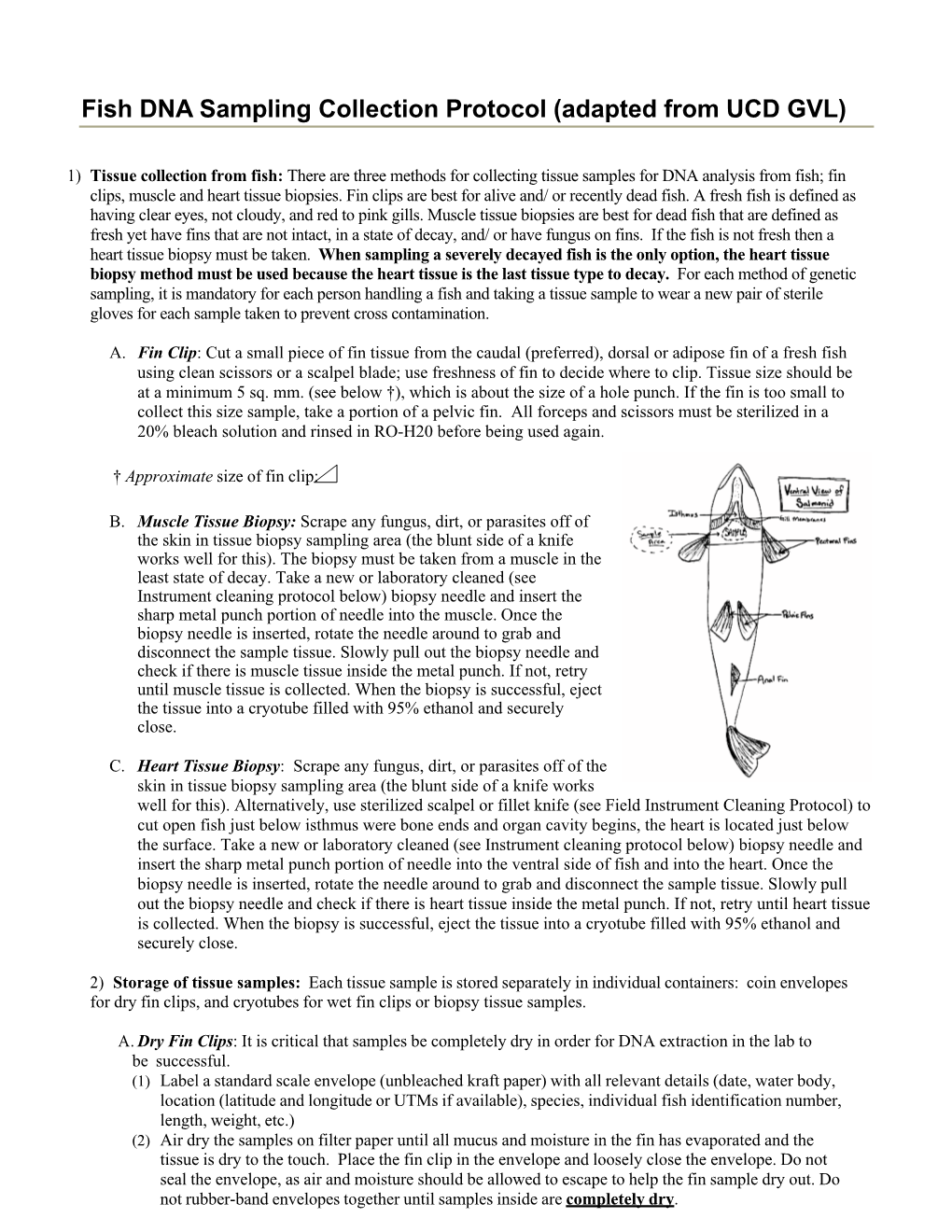 Fish DNA Sampling Collection Protocol (Adapted from UCD GVL)