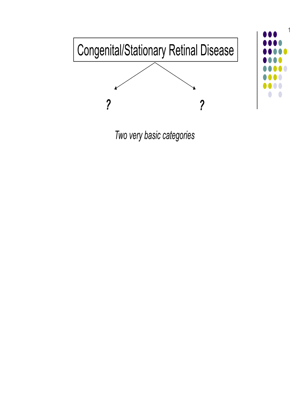 Congenital/Stationary Retinal Disease