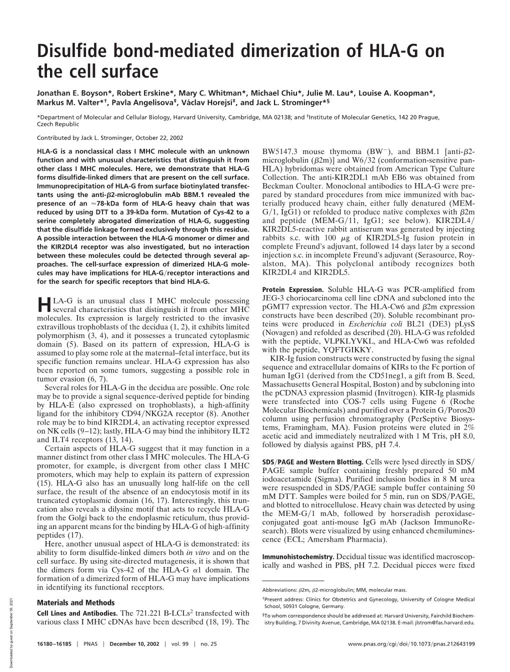 Disulfide Bond-Mediated Dimerization of HLA-G on the Cell Surface