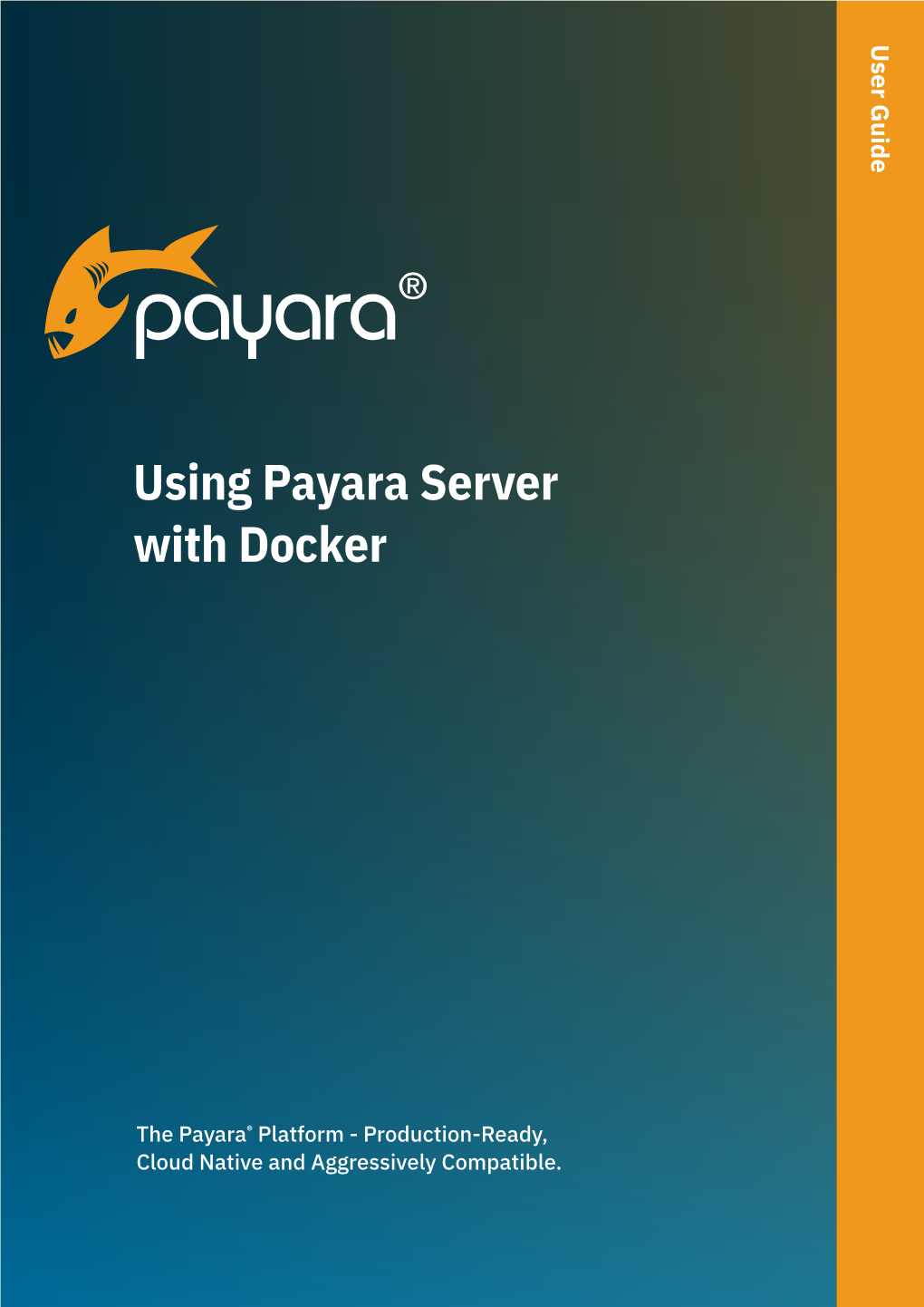 Using Payara Server with Docker