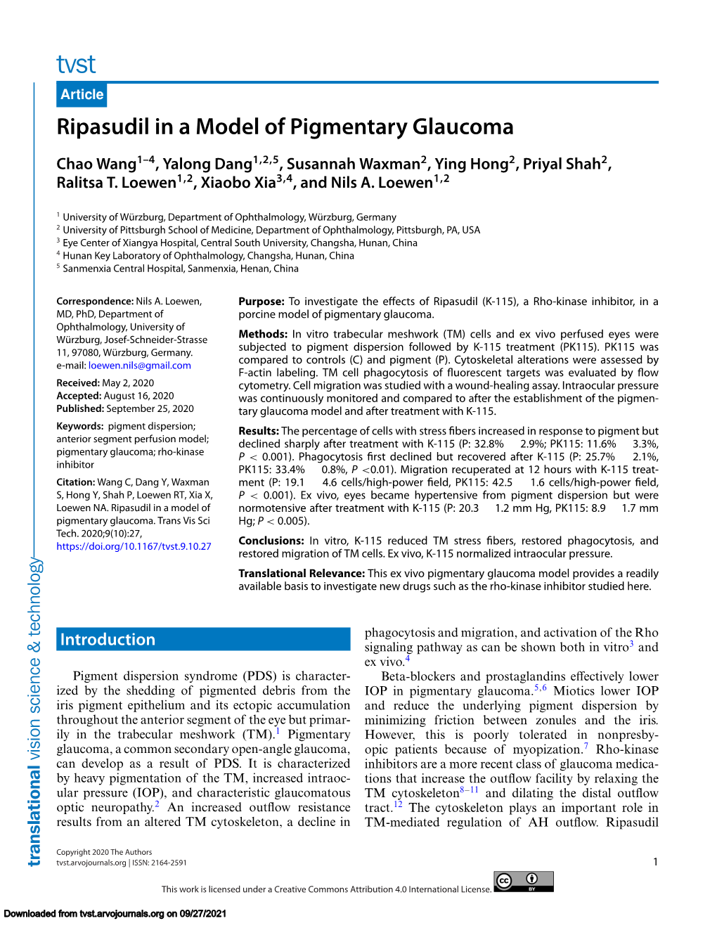 Ripasudil in a Model of Pigmentary Glaucoma
