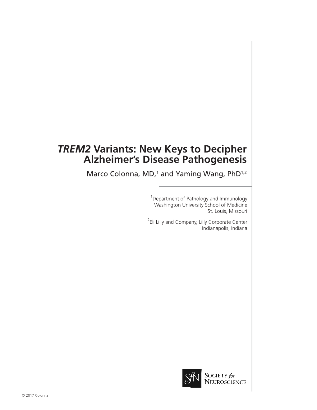 TREM2 Variants: New Keys to Decipher Alzheimer's Disease