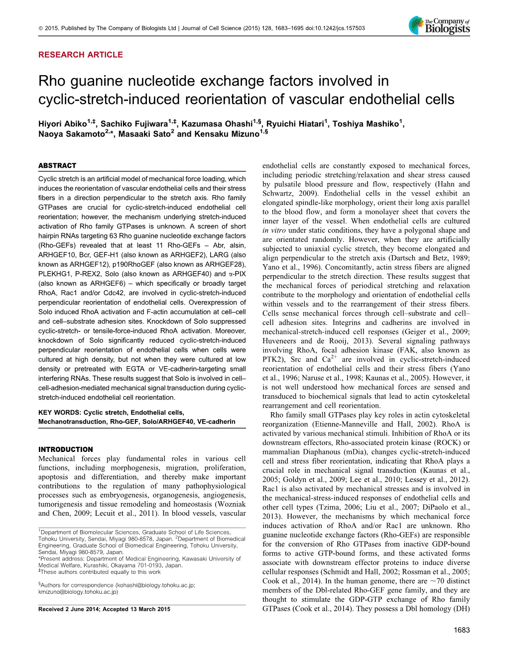 Rho Guanine Nucleotide Exchange Factors Involved in Cyclic-Stretch-Induced Reorientation of Vascular Endothelial Cells