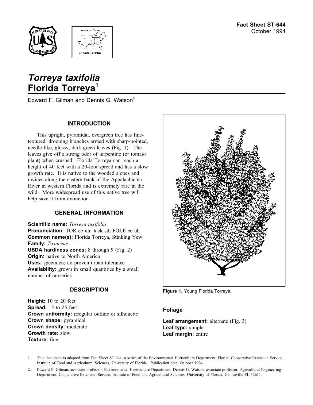 Torreya Taxifolia Florida Torreya1 Edward F