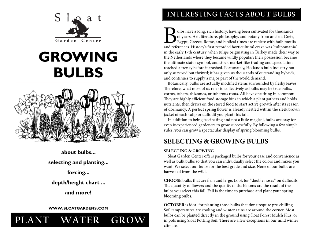 GROWING BULBS Potting Soil (Do Not Press Down)