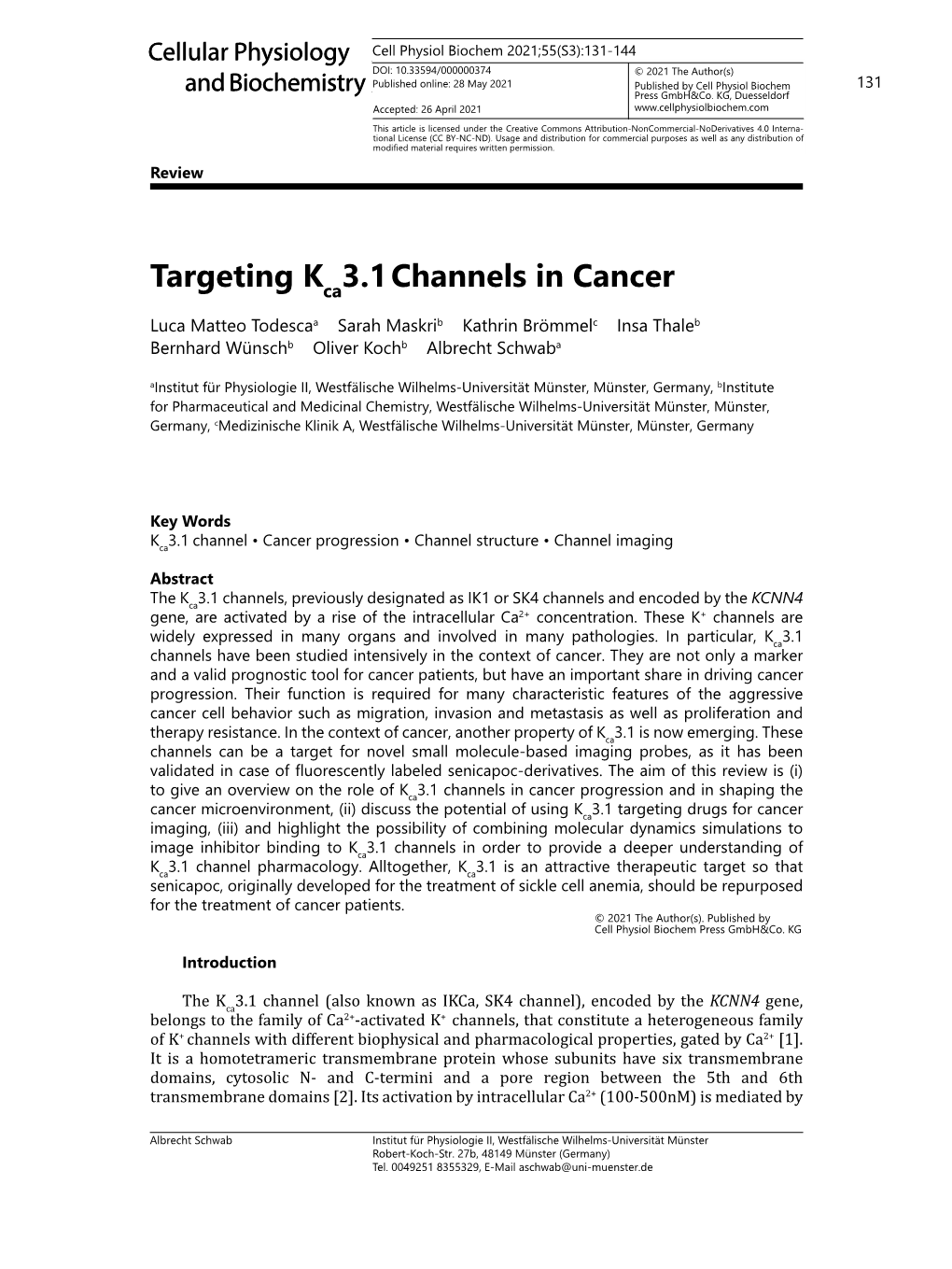 Targeting K 3.1Channels in Cancer