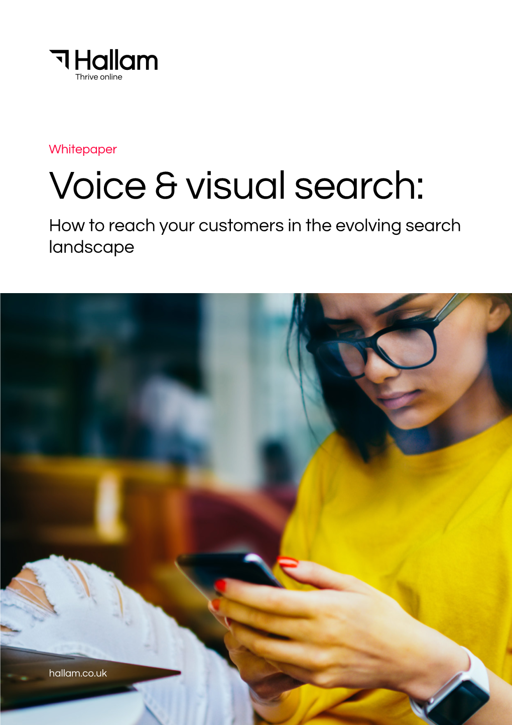 Voice & Visual Search