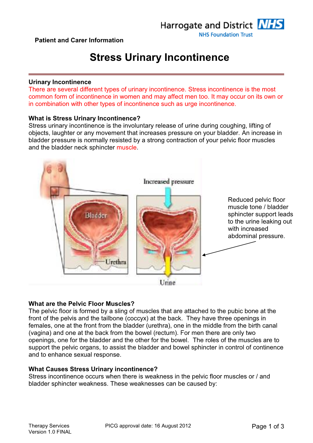 Stress Urinary Incontinence