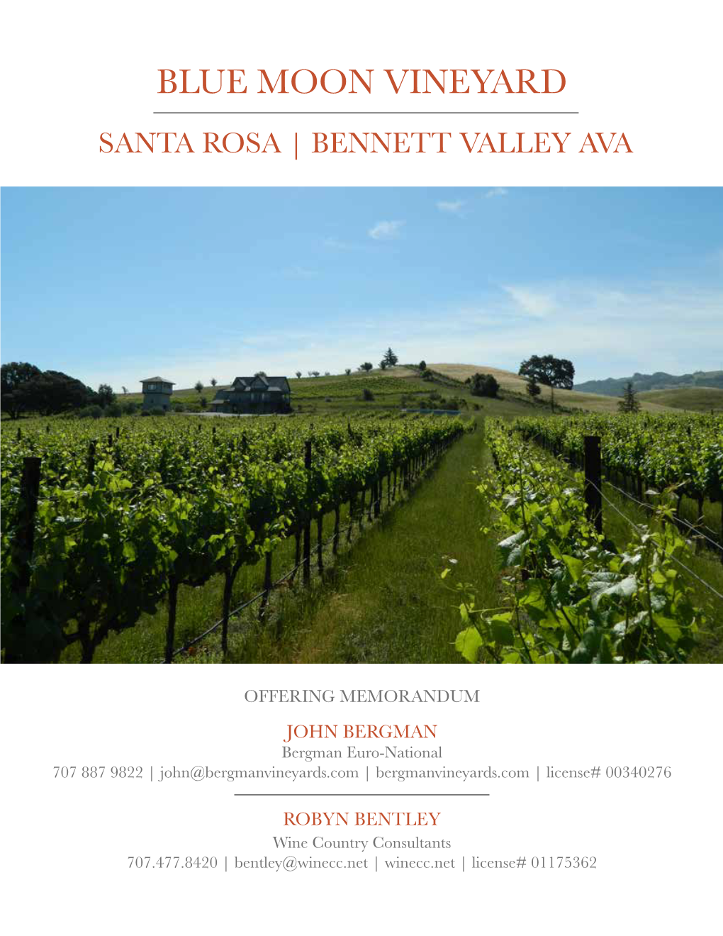 Blue Moon Vineyard Santa Rosa | Bennett Valley Ava