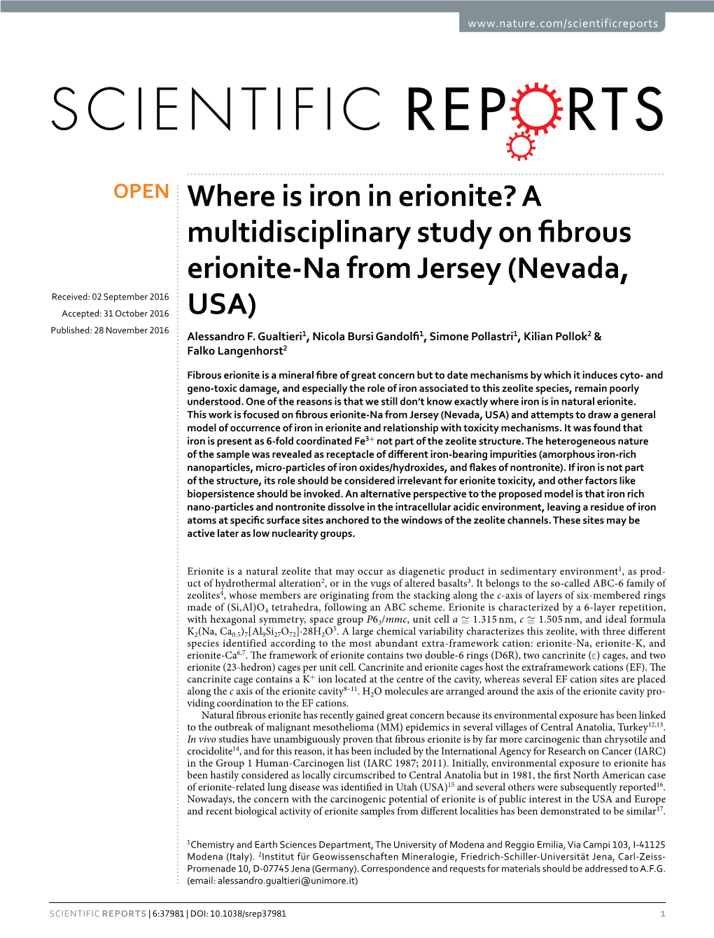 A Multidisciplinary Study on Fibrous Erionite-Na from Jersey