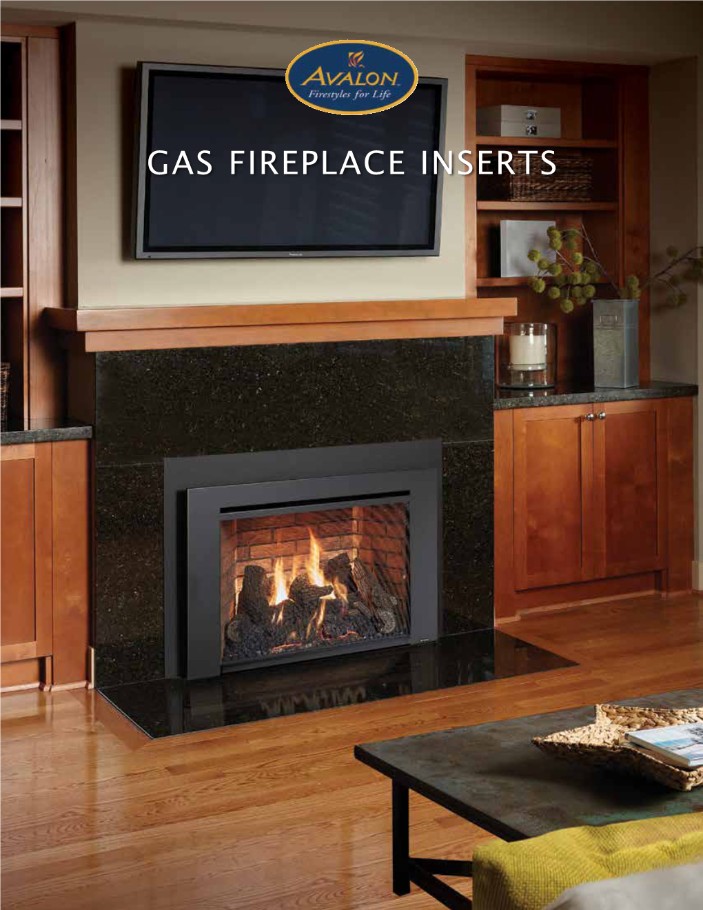 Gas Fireplace Inserts