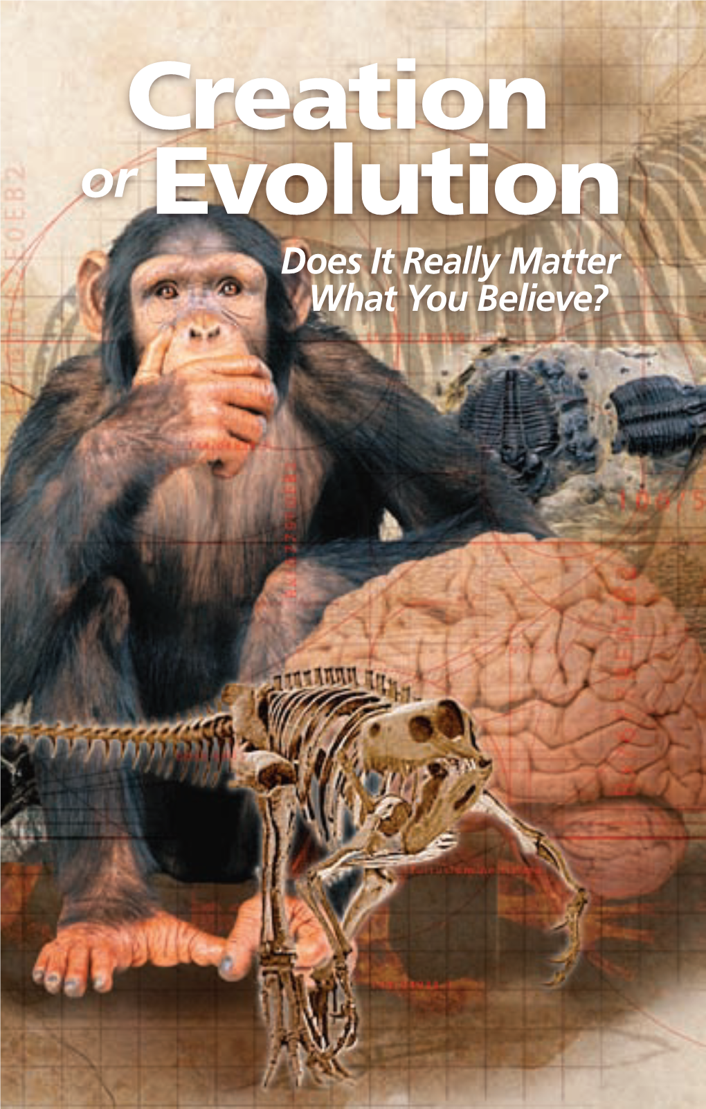 Creation Or Evolution Does It Really Matter What You Believe? THIS PUBLICATION IS NOT to BE SOLD