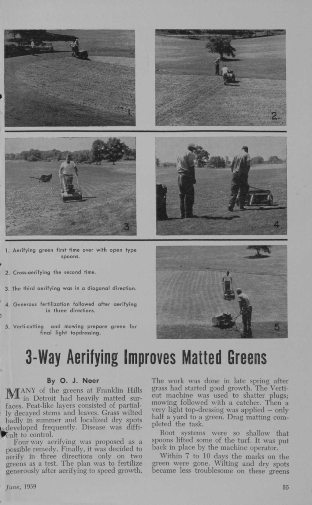 3-Way Aerifying Improves Matted Greens