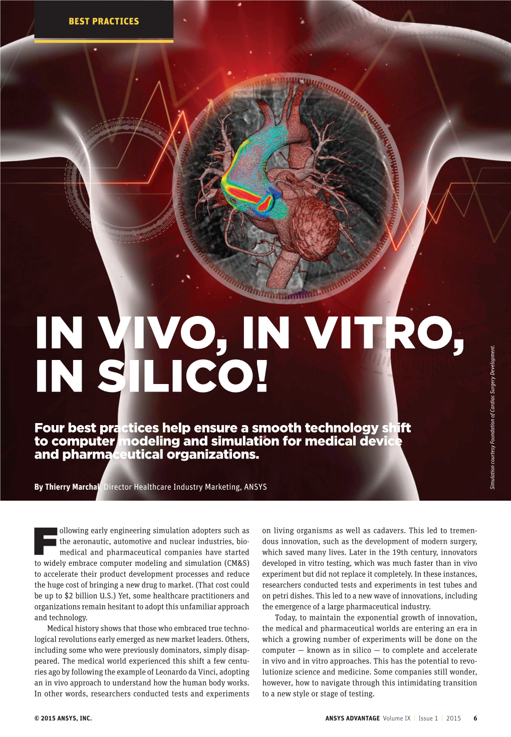 In Vivo, in Vitro, in Silico!