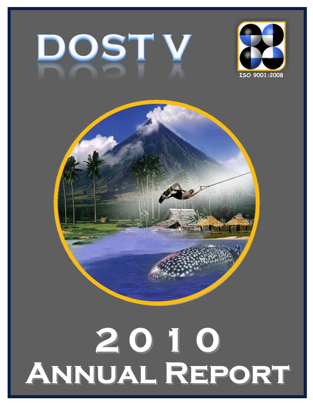 2010 Annual Report