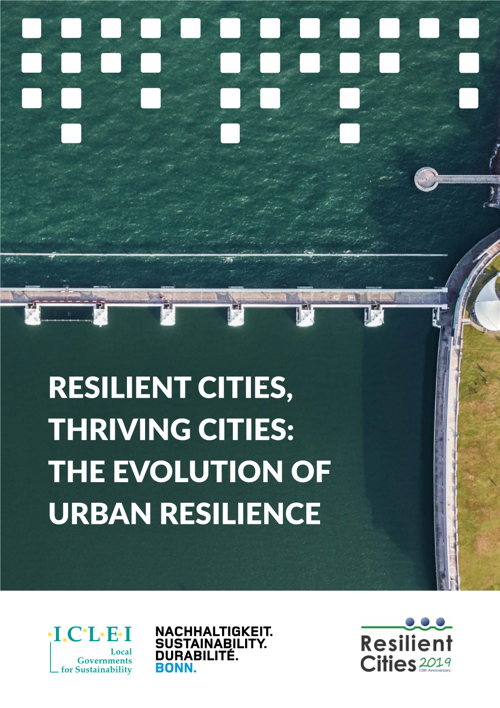 Resilient Cities, Thriving Cities: the Evolution of Urban Resilience Acknowledgements