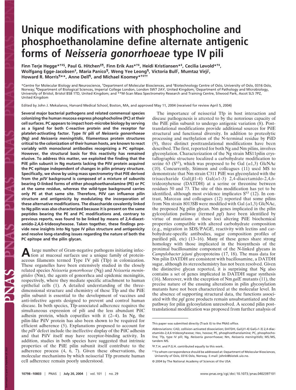 Unique Modifications with Phosphocholine and Phosphoethanolamine Define Alternate Antigenic Forms of Neisseria Gonorrhoeae Type IV Pili