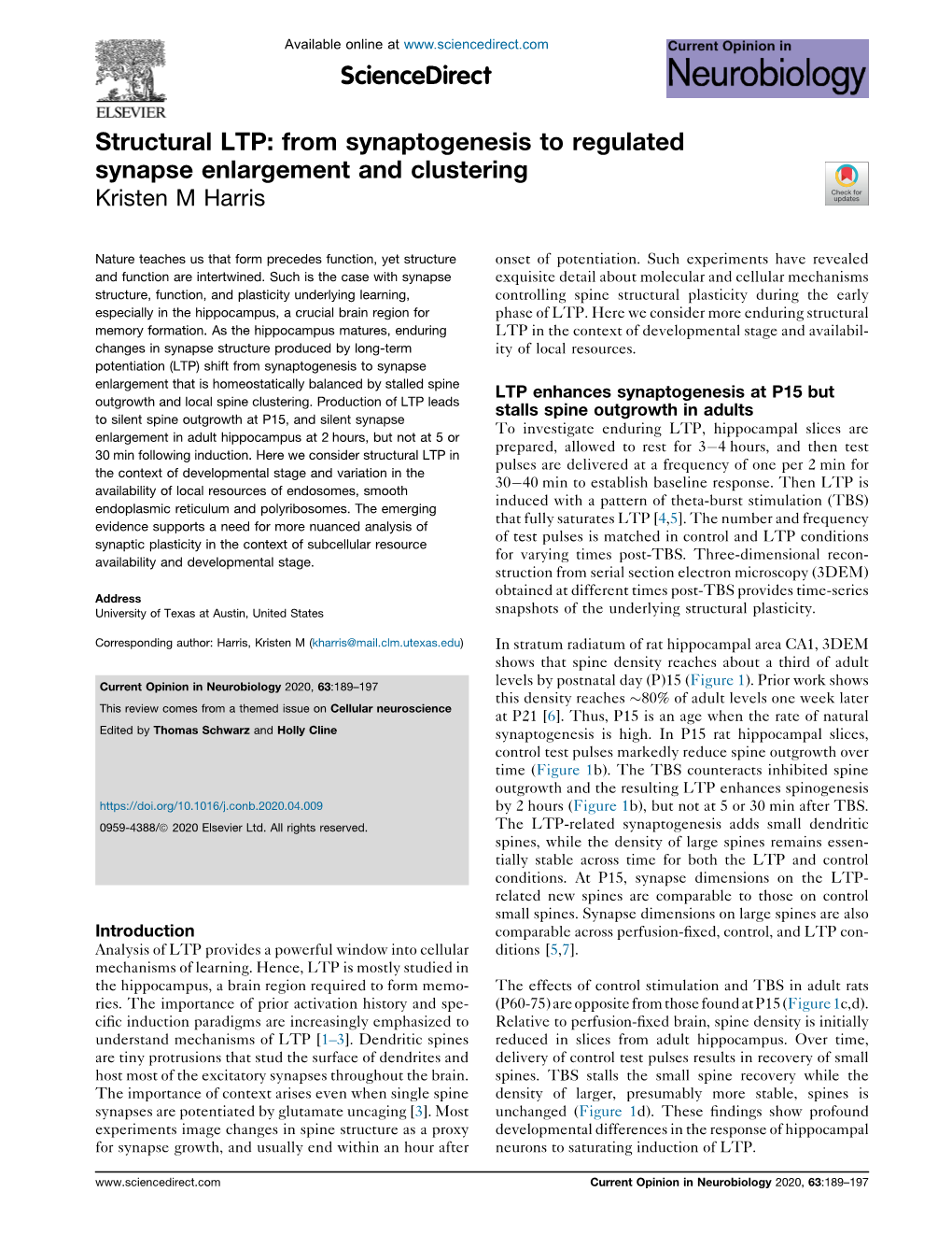 Structural LTP: from Synaptogenesis to Regulated Synapse Enlargement