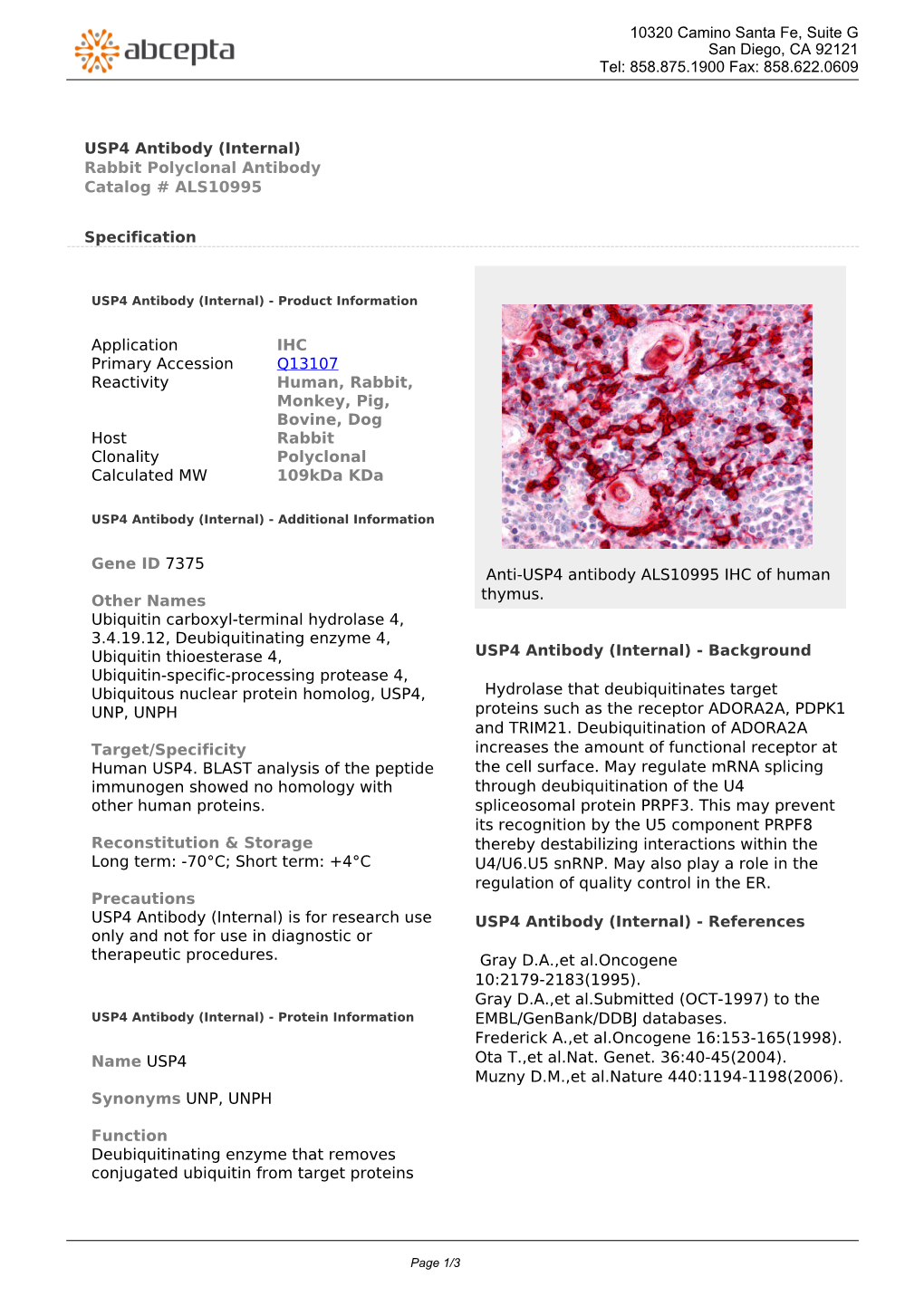 USP4 Antibody (Internal) Rabbit Polyclonal Antibody Catalog # ALS10995