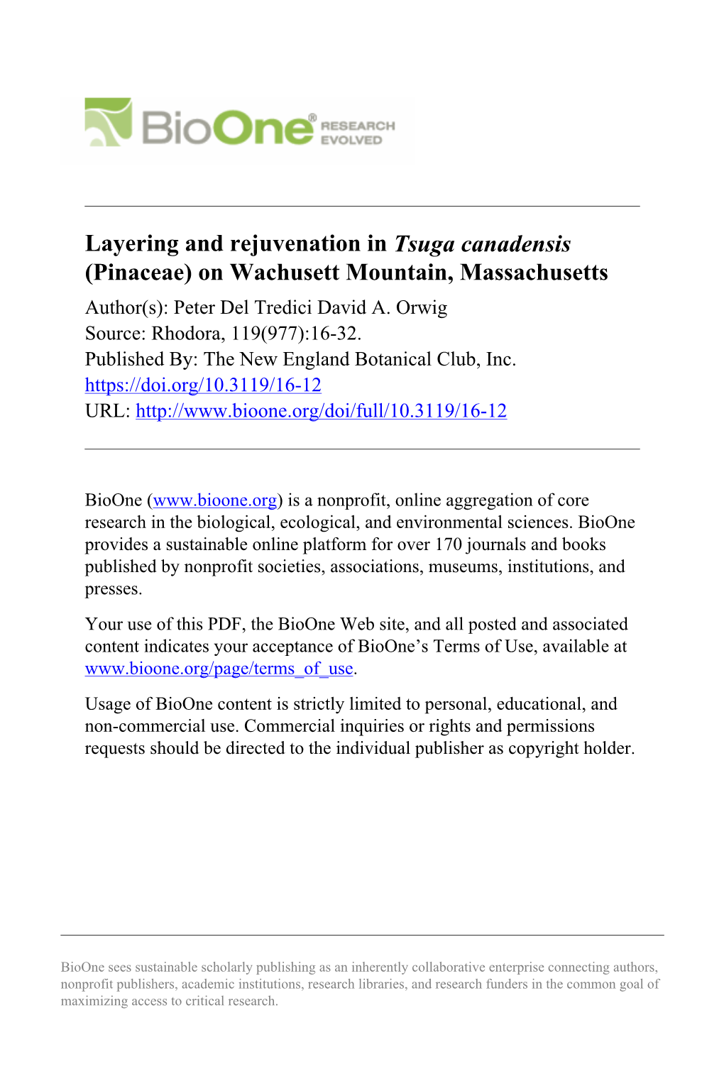 Layering and Rejuvenation in Tsuga Canadensis (Pinaceae) on Wachusett Mountain, Massachusetts Author(S): Peter Del Tredici David A