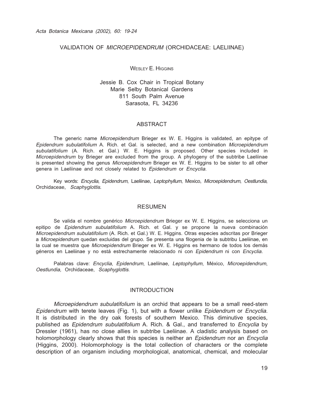 Validation of Microepidendrum (Orchidaceae: Laeliinae)