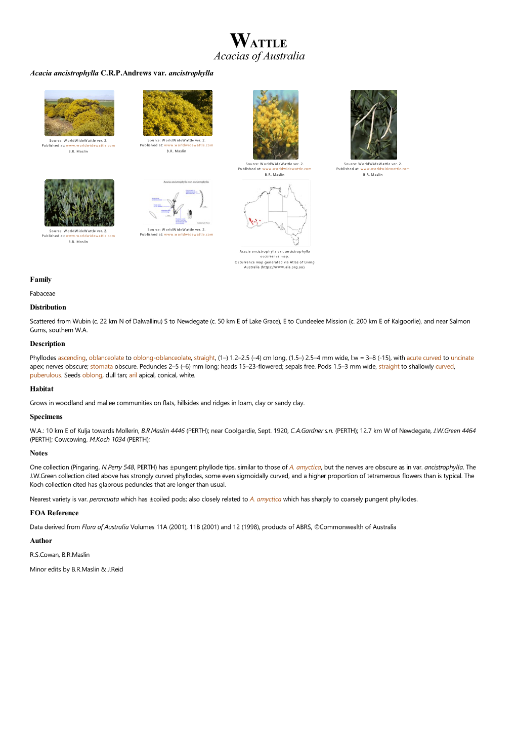 Acacia Ancistrophylla Var. Ancistrophylla Occurrence Map