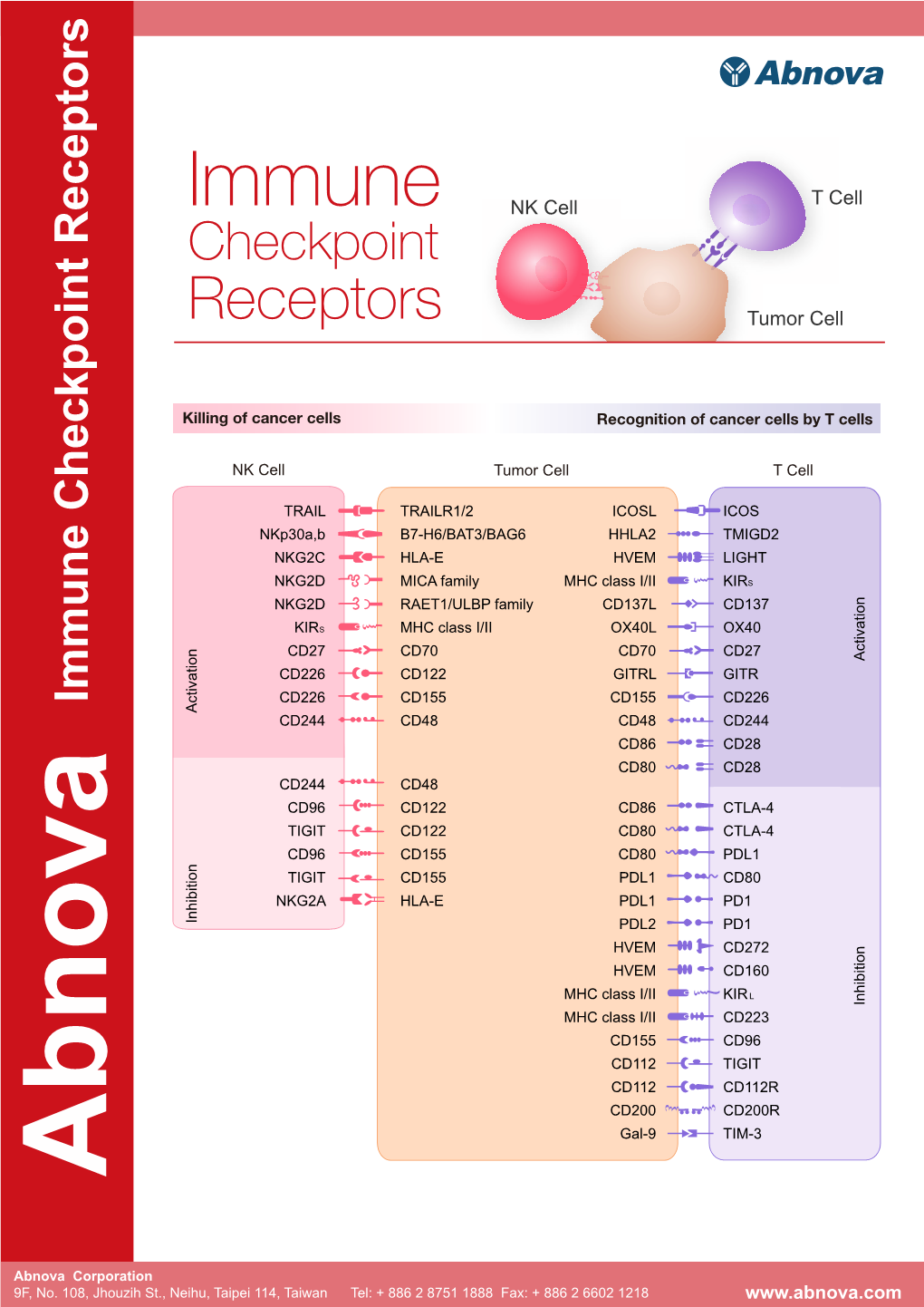 Immune Checkpoint Receptors