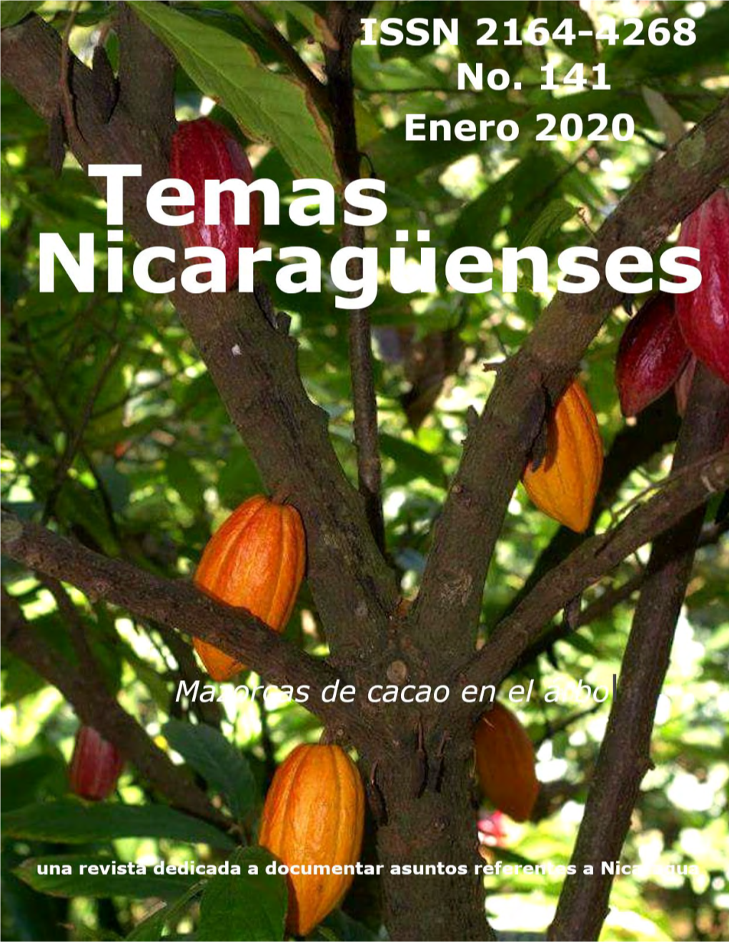 Revista De Temas Nicaragüenses. Dedicada a La Investigación Sobre