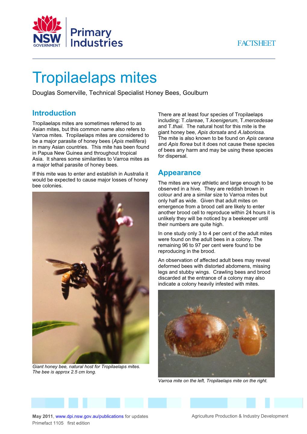 Tropilaelaps Mites Douglas Somerville, Technical Specialist Honey Bees, Goulburn