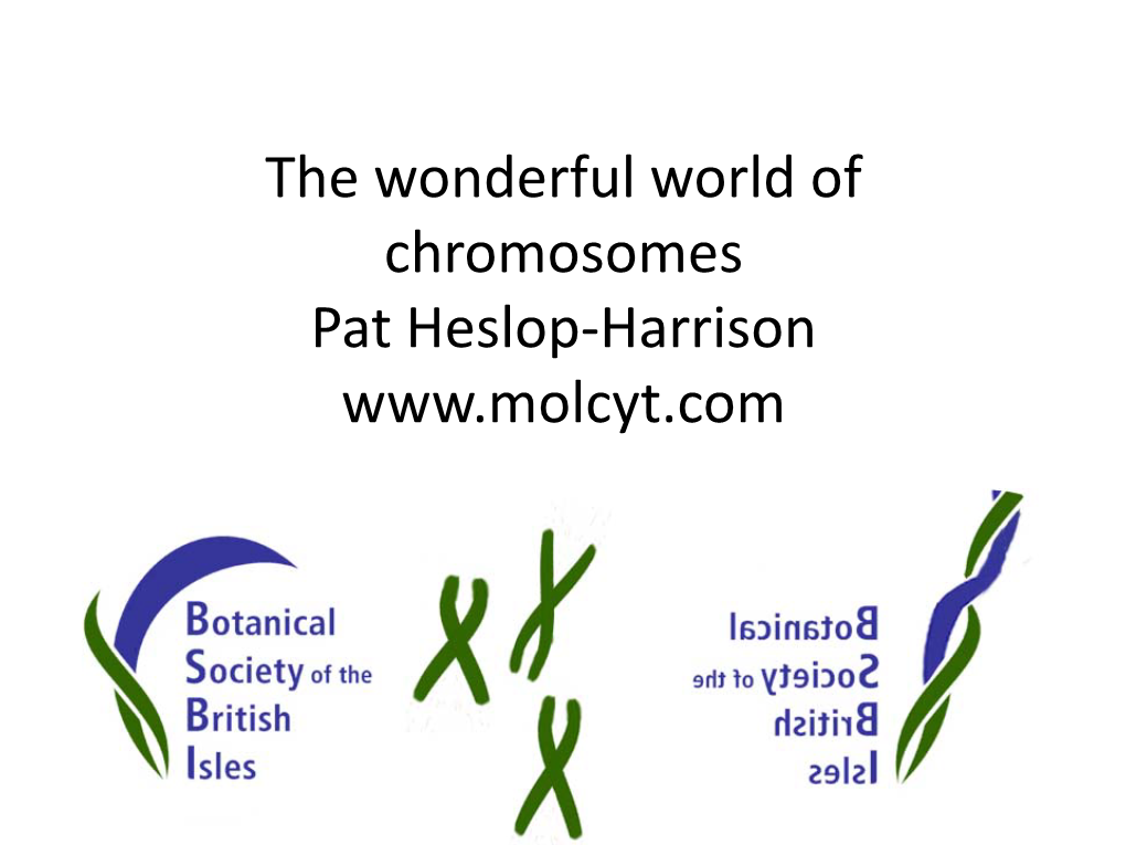 The Wonderful World of Chromosomes Pat Heslop-Harrison DNA and Botany