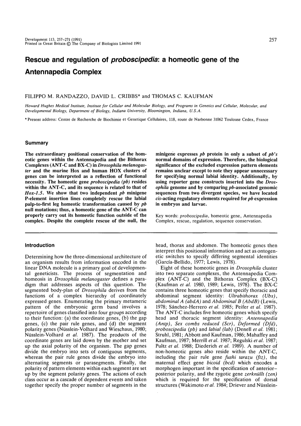 A Homeotic Gene of the Antennapedia Complex