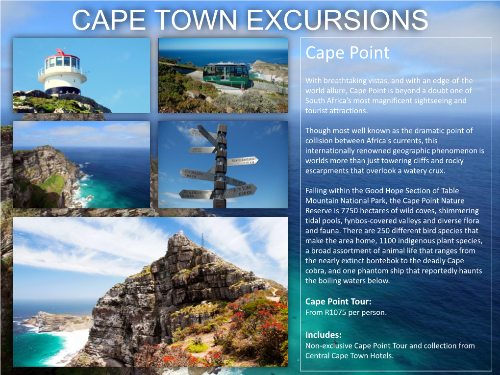 CAPE TOWN EXCURSIONS Cape Point