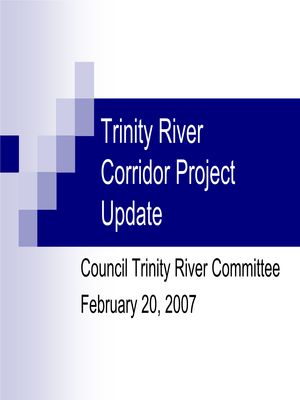 Trinity River Corridor Project Update Council Trinity River Committee February 20, 2007 Table of Contents