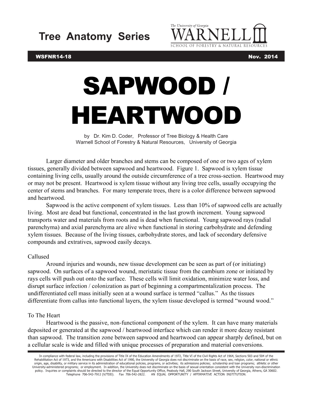 SAPWOOD / HEARTWOOD by Dr