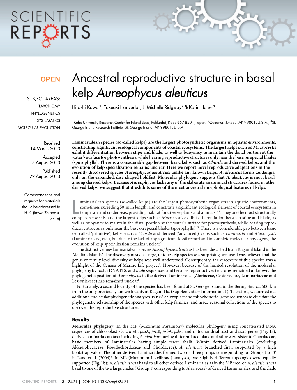 Ancestral Reproductive Structure in Basal Kelp Aureophycus Aleuticus
