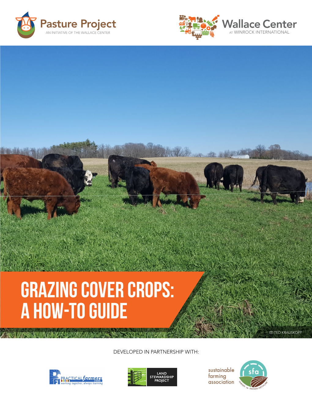 Grazing Cover Crops: a How-To Guide