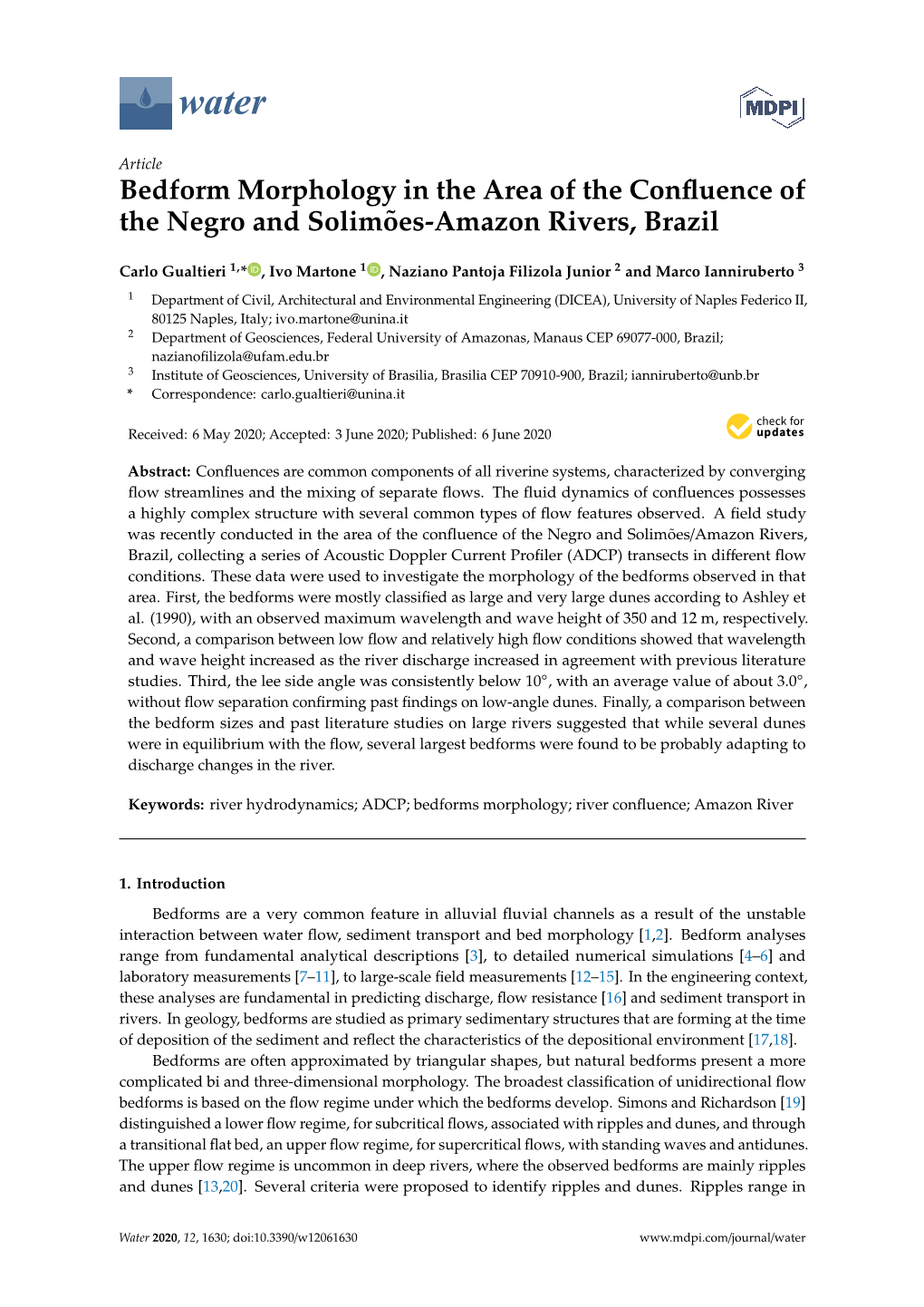 Bedform Morphology in the Area of the Confluence of the Negro And