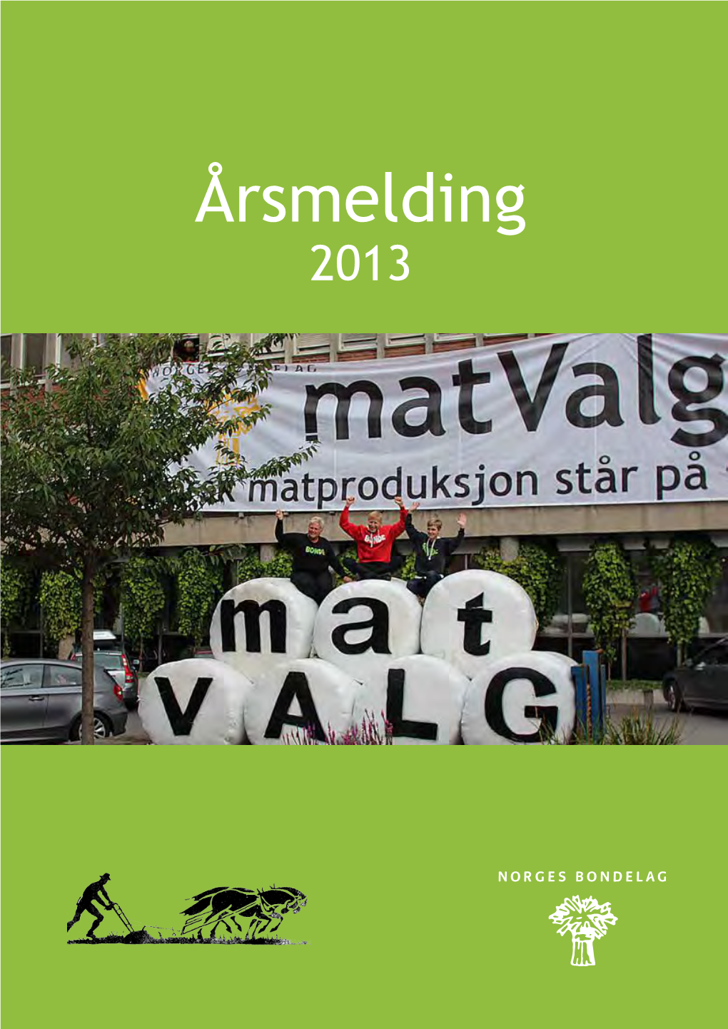 Årsmelding 2013 Årsmelding 2013