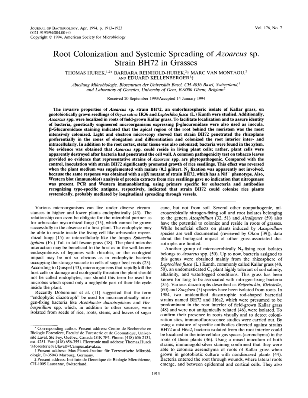 Root Colonization and Systemic Spreading of Azoarcus Sp. Strain BH72 in Grasses