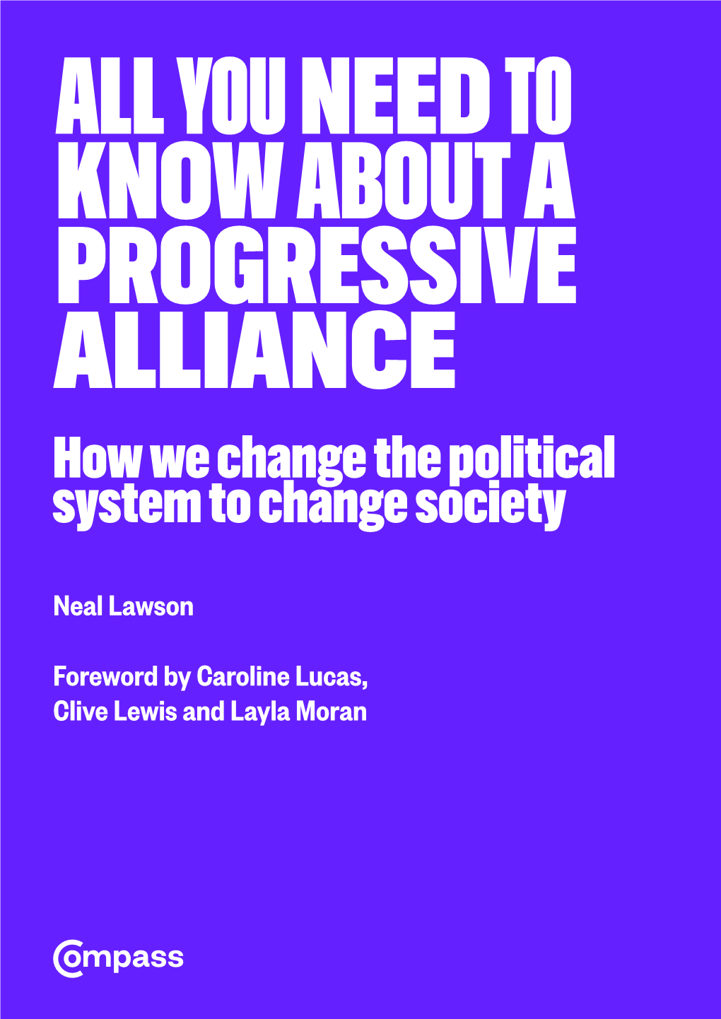 How We Change the Political System to Change Society