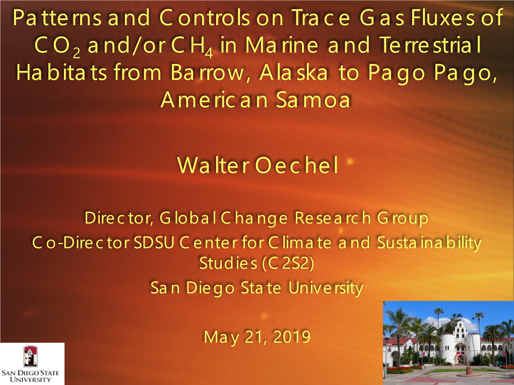 Patterns and Controls on Trace Gas Fluxes of CO